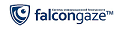 Лицензия на программное обеспечение Falcongaze SecureTower - cервер обработки данных