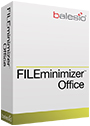 FILEminimizer Office 1 user