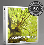 Deciduous Forests Stereo Version