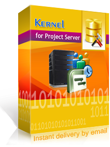 Kernel for Project Server