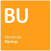 Backup Server 290