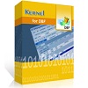 Kernel Recovery for DBF