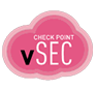Шлюзы безопасности CheckPoint vSec