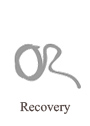 Recovery for Sybase