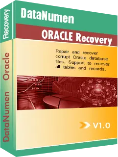 DataNumen Oracle Recovery