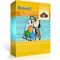 Kernel Recovery for VBA Password