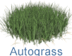 Happy Digital Autograss