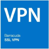 SSL-VPN 480