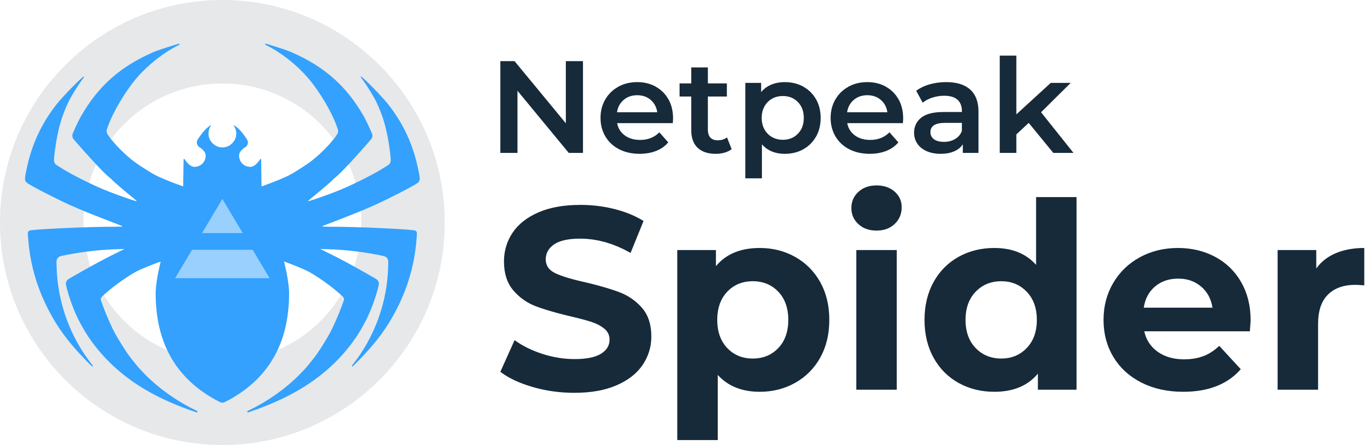 Netpeak Spider