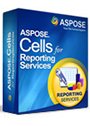 Aspose.Cells for Reporting Services