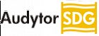 Audytor SDG