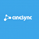 CineSync Pro
