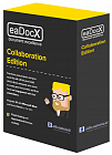 eaDocX Collaboration Edition Standard Licences 12 months support