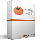Visual Assist - Personal