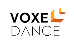 VoxelDance