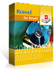 Kernel for Solaris Sparc Recovery Corporate Licence