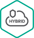 Kaspersky Security для виртуальных и облачных сред - Enterprise Edition, Server (2 года)