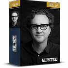 Waves Greg Wells Signature Series