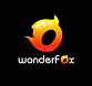 WonderFox DVD Ripper Pro