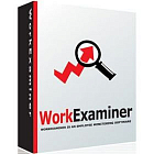 Work Examiner Professional 20-49 лицензий (за лицензию)