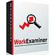 Work Examiner Professional