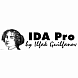 IDA Pro Floating License