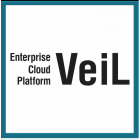 Платформа виртуализации ECP VeiL, 1 физический сервер