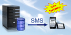 Ozeki NG SMS Gateway Standard licenses 5 MPM