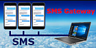 Ozeki 10 SMS Gateway Standard licenses 5 MPM